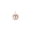 Sigillo Tondo 10mm in Oro Rosa 9kt con punzoni Zodiaco | Rubinia Gioielli New
